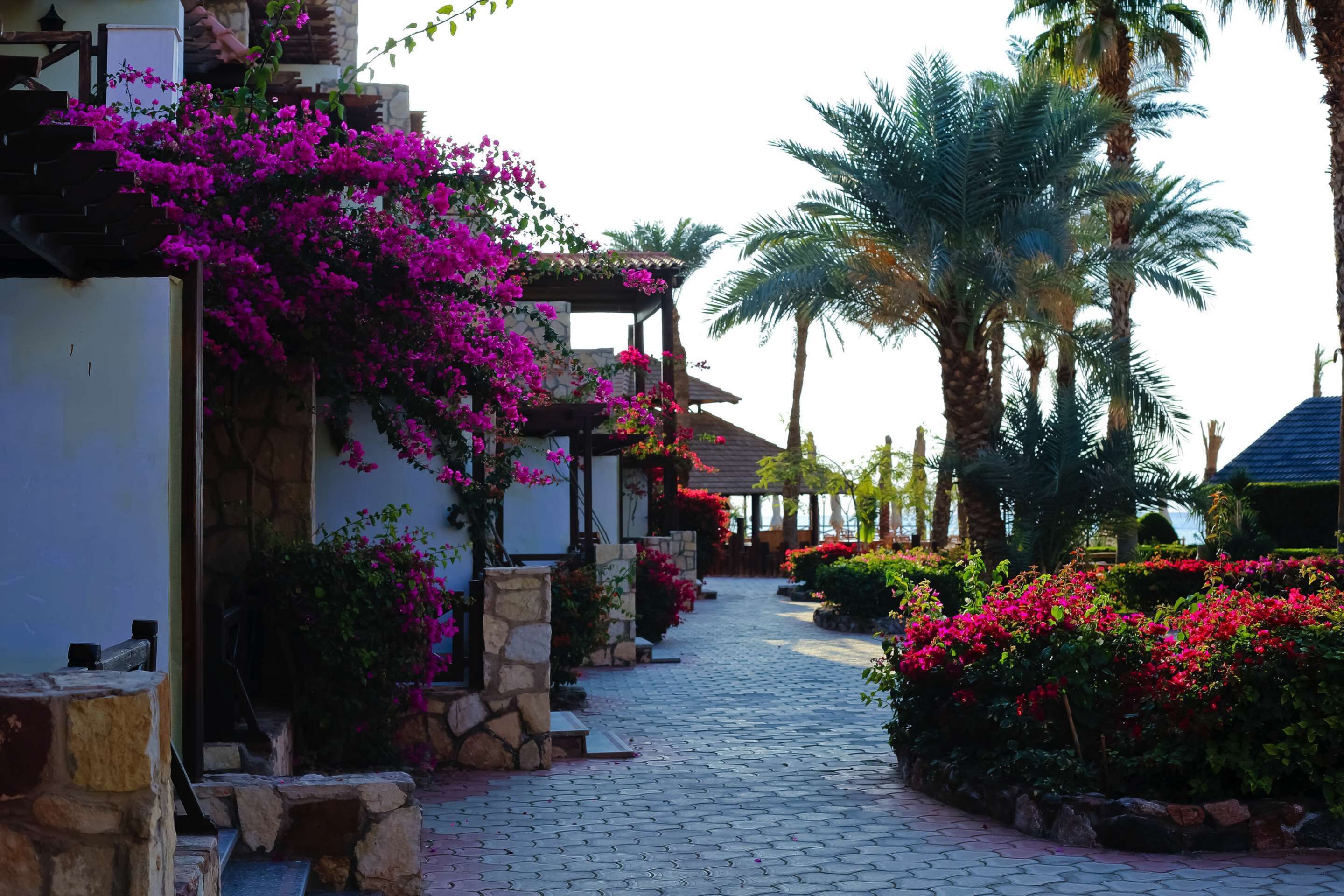 minibar, in-room safe, blackout curtains, iron/ironing board