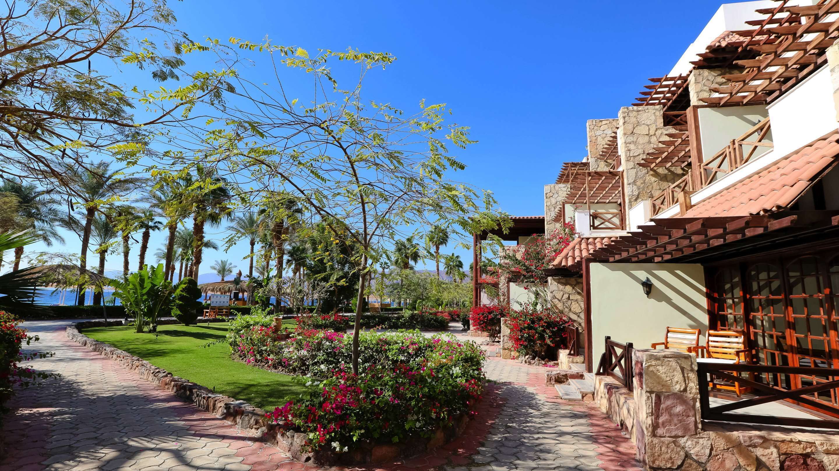 minibar, in-room safe, blackout curtains, iron/ironing board