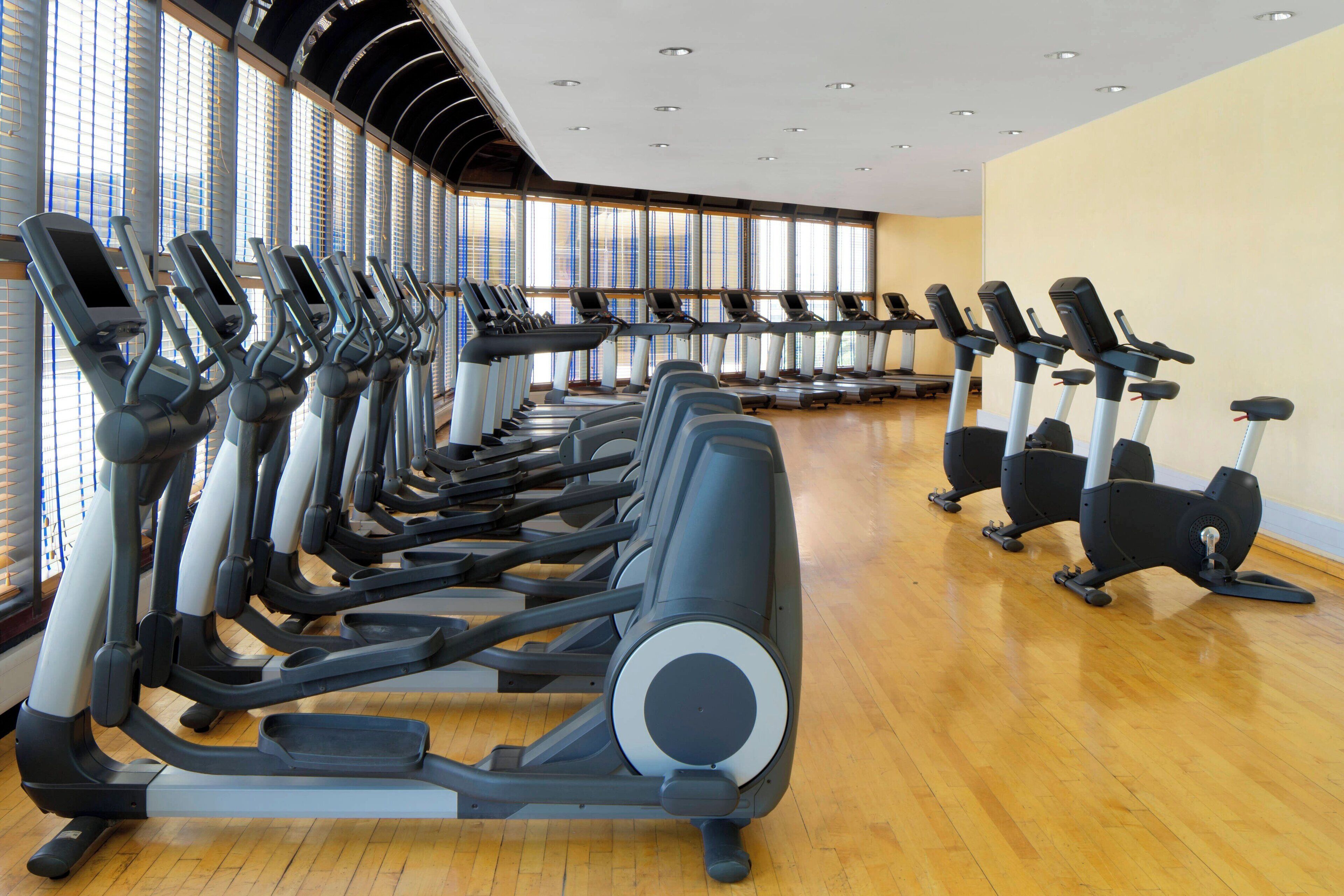 A gym with multiple treadmills and elliptical machines arranged in rows.