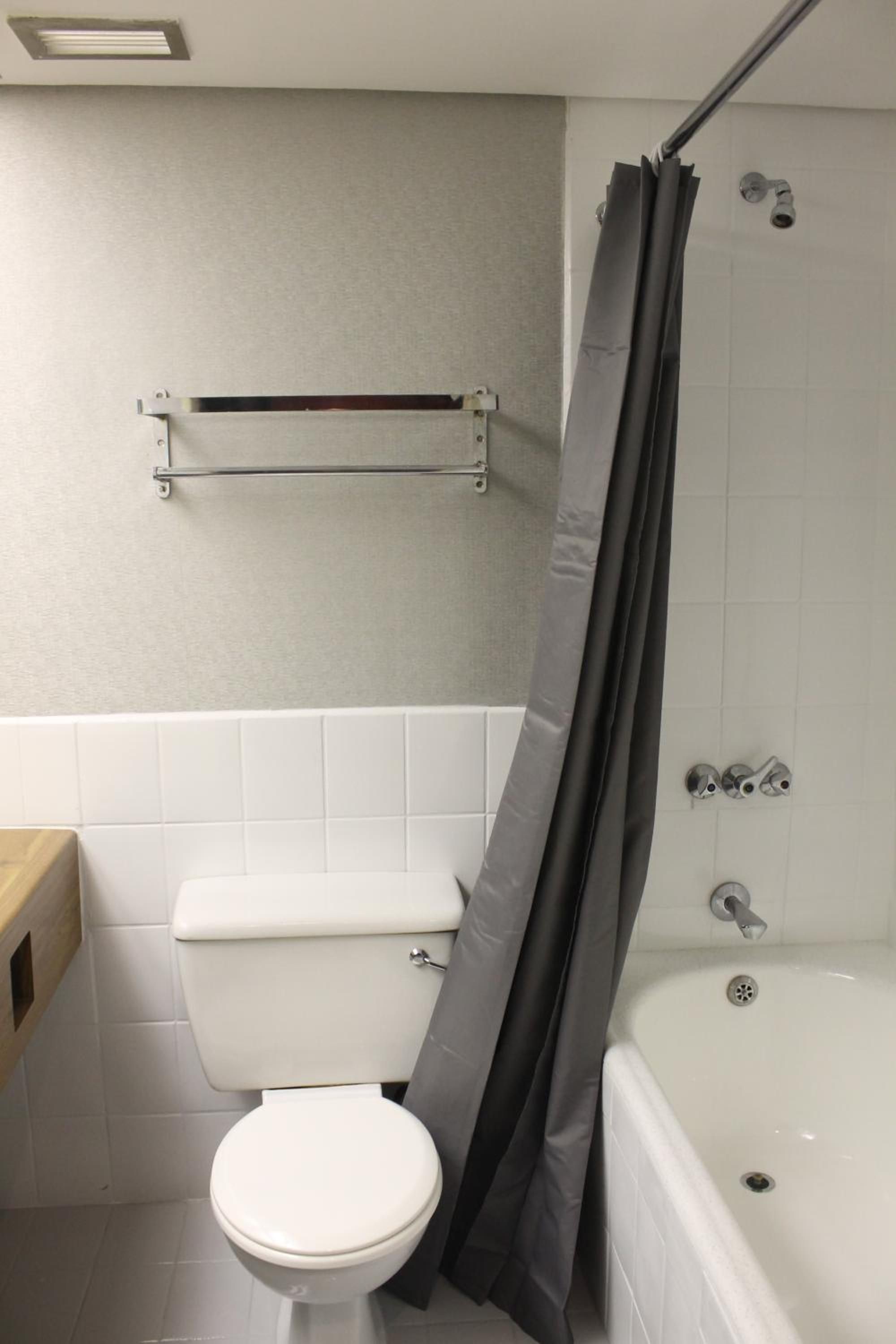 A bathroom with a toilet, a bathtub, and a shower curtain.