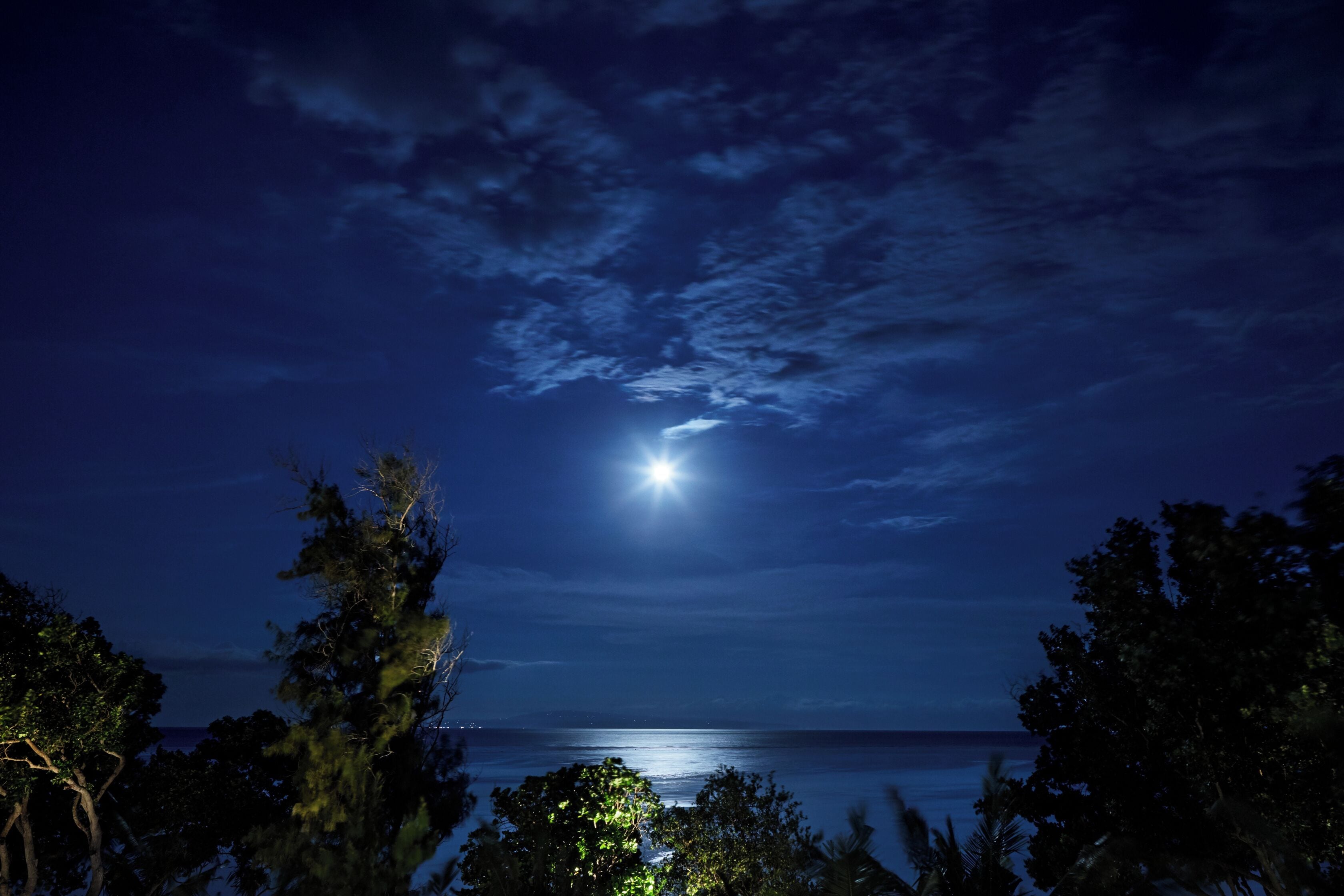 suite, 1 king bed (regency) | beach/ocean view