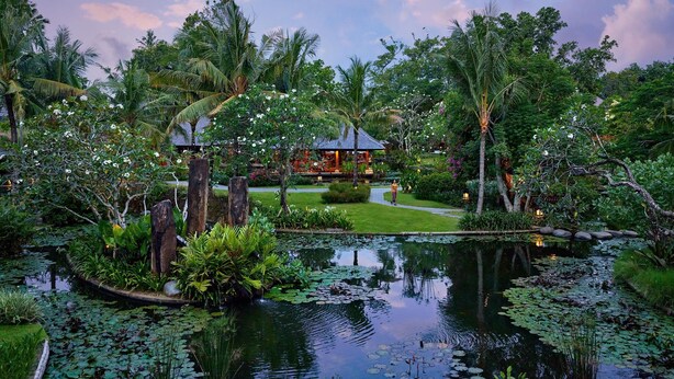 A tropical garden with a pond, lush greenery, and a small building with a thatched roof.