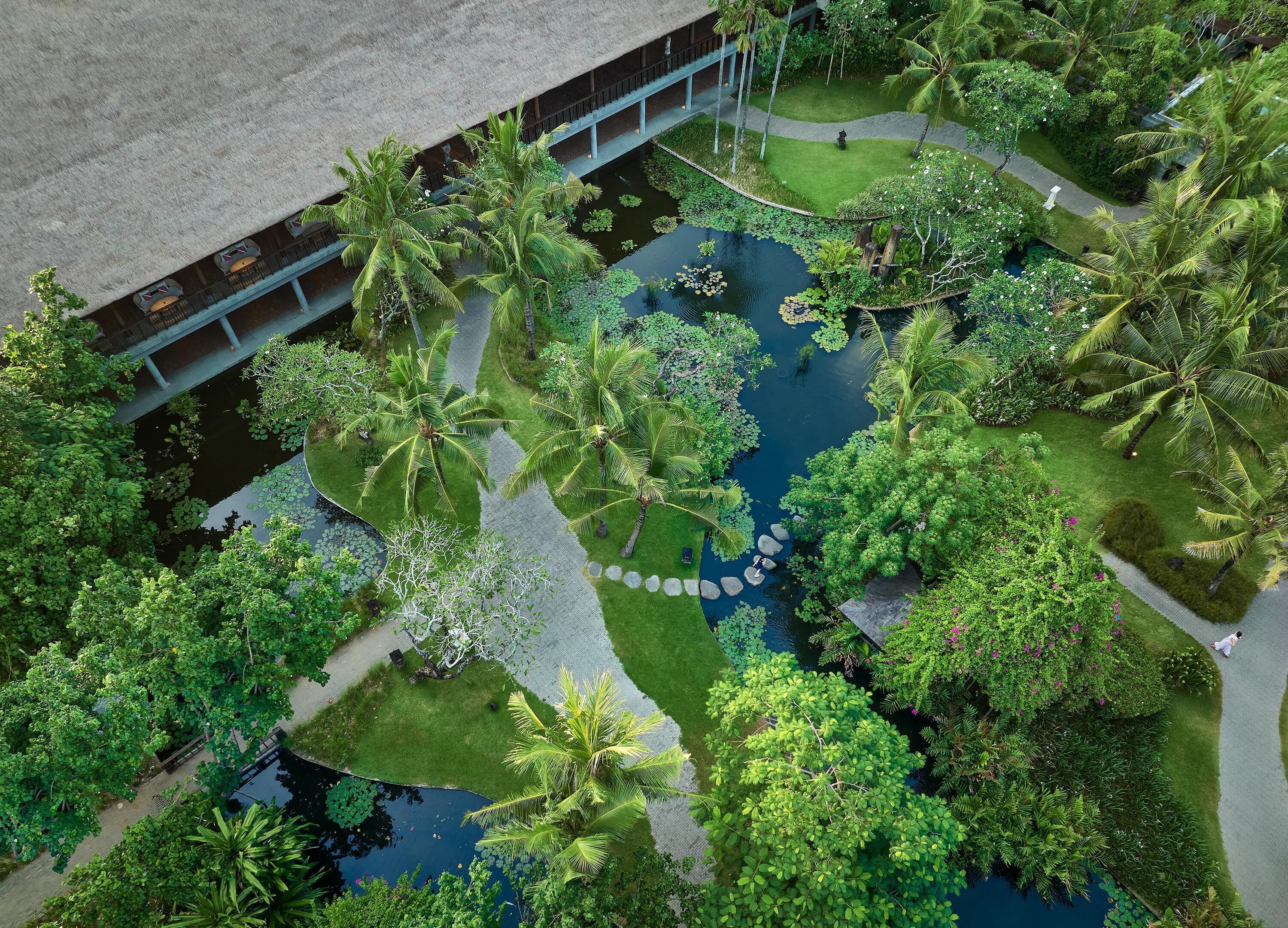Vista aérea de un jardín exuberante con un estanque central, palmeras y un edificio con techo de paja.