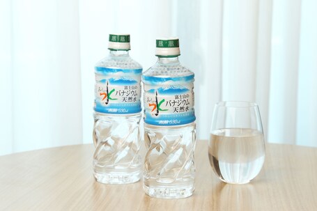 RIHGA Royal Hotel Kyoto - Image 54