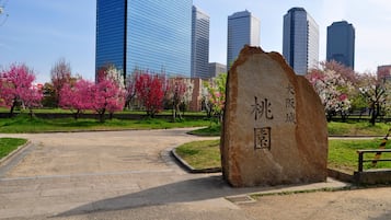 A stone monument with Chinese characters in a park with blooming trees and modern buildings in the background.