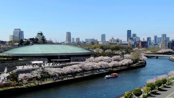 A riverside view with a large stadium, cherry blossoms, and a city skyline.