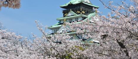 Un castillo japonés tradicional con varios niveles y tejados verdes, rodeado de árboles de cerezo en flor.