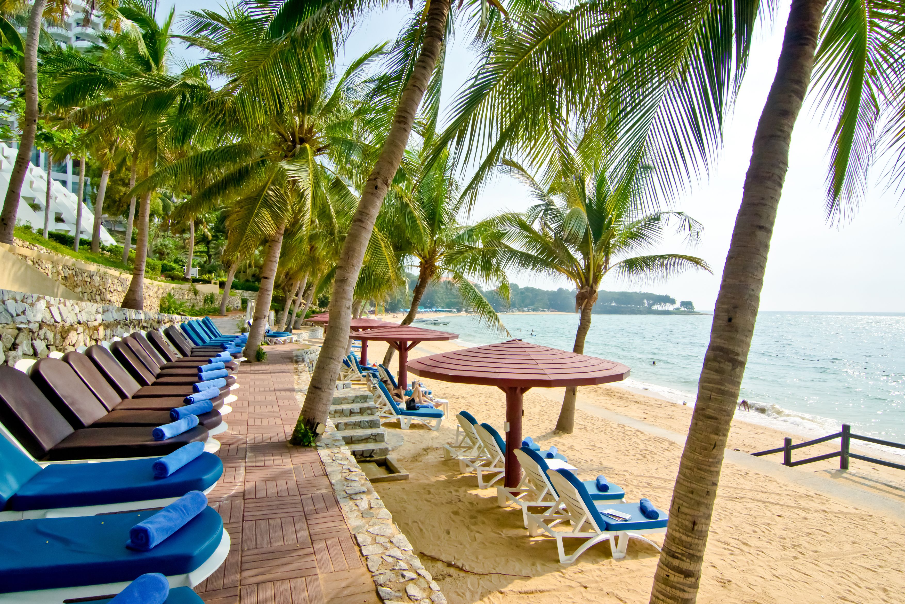 A beachside lounge area with sun loungers and umbrellas, a stone pathway, and a view of the ocean.
