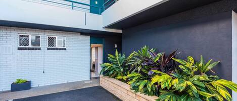 A modern building with a white facade, a blue balcony, and a planter with tropical plants.