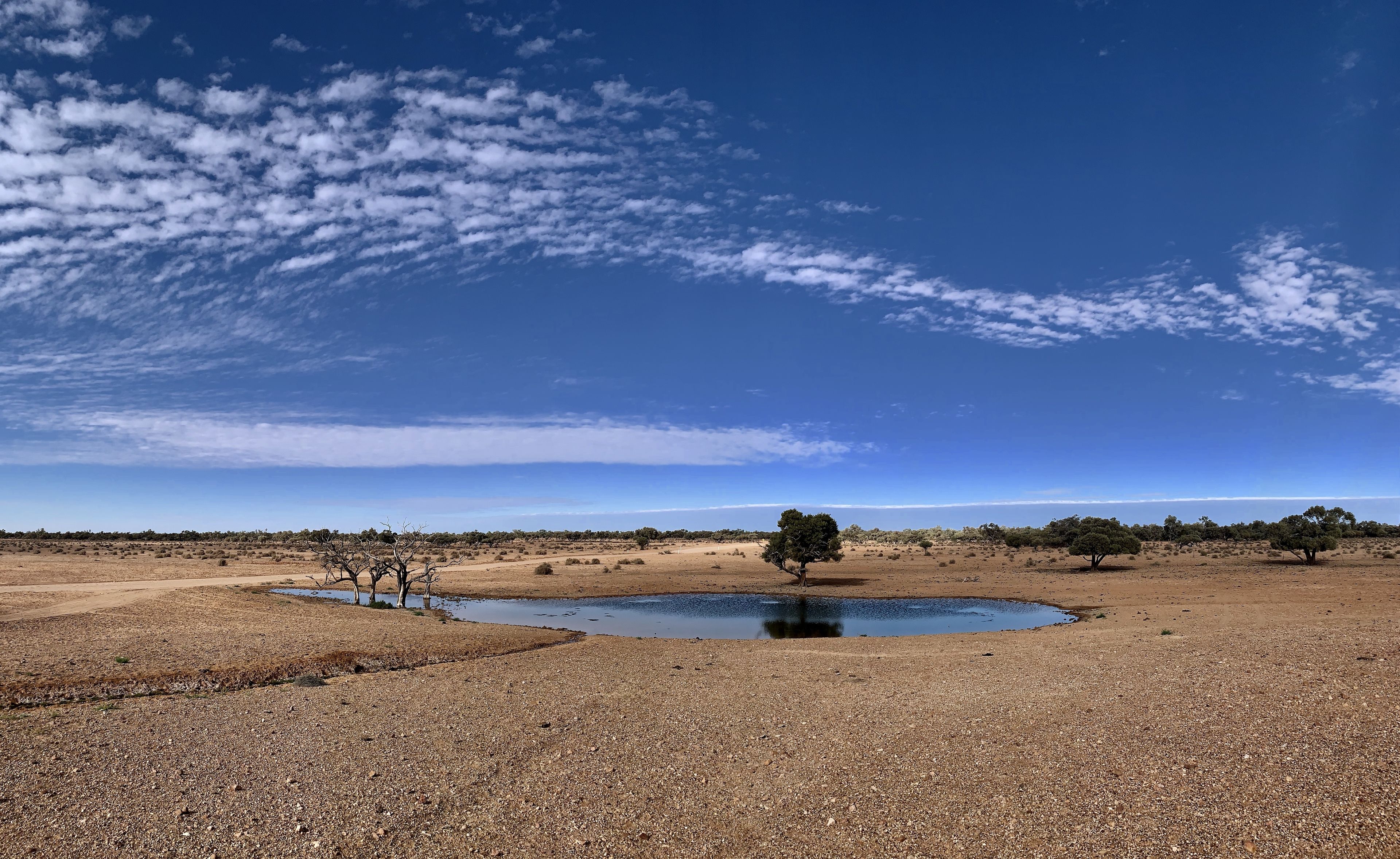Un paysage aride et dégagé, avec une végétation clairsemée et un ciel bleu azur.