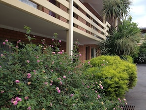 Jardín