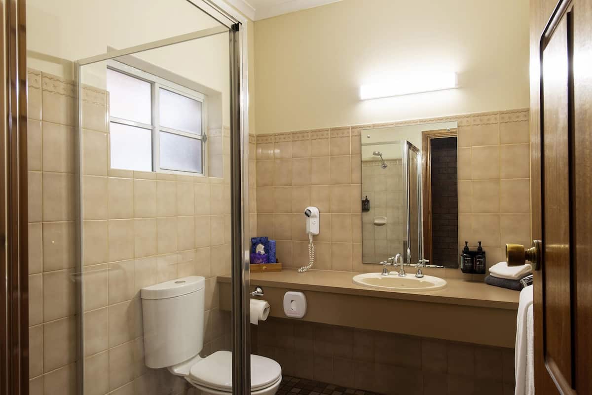 A bathroom with a toilet, a sink, a shower, and a mirror.