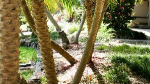 A garden with palm trees and a pathway. - Mercure Charlestown (Adamstown Heights)