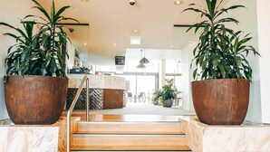A modern staircase with wooden steps and metal railings, flanked by large potted plants. - Mercure Charlestown (Adamstown Heights)