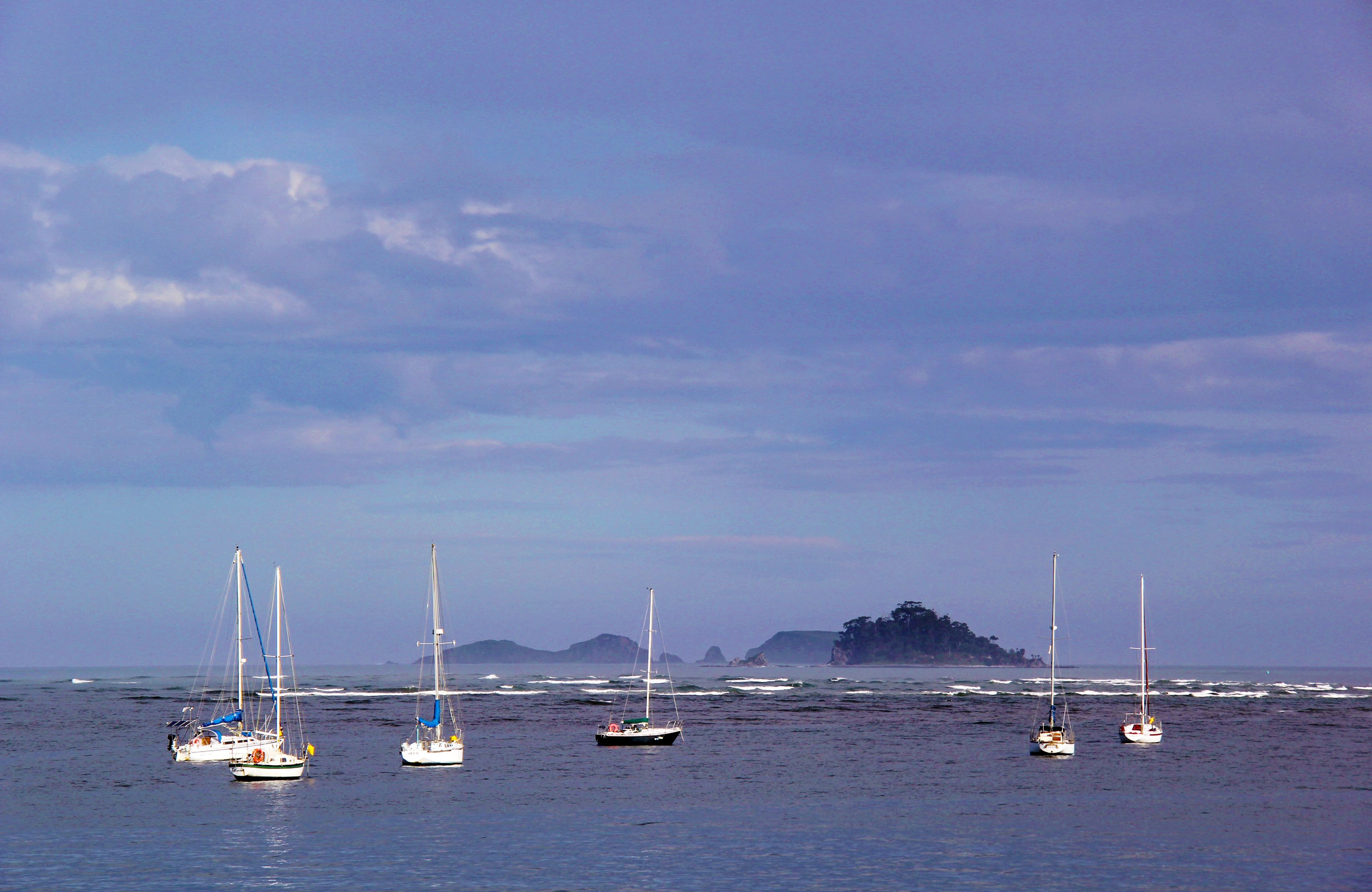 A coastal scene with several sailboats on calm waters, a distant island, and a clear sky.