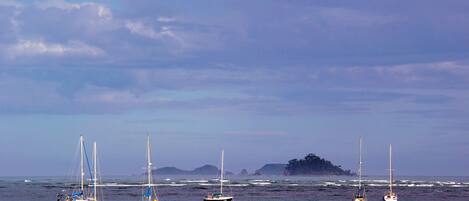 A coastal scene with several sailboats on calm waters, a distant island, and a clear sky.