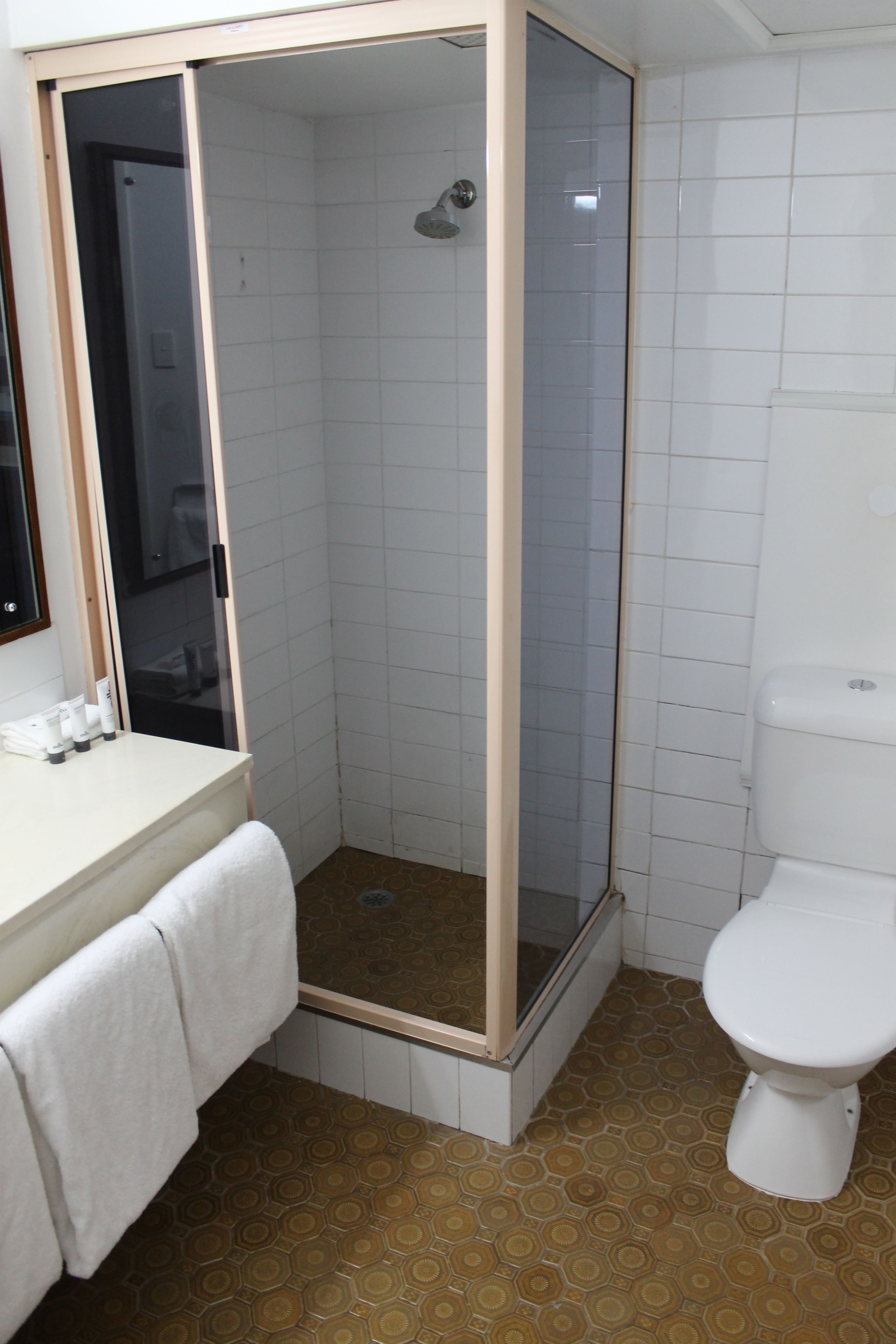 A bathroom with a shower enclosure, a toilet, and a sink with toiletries.