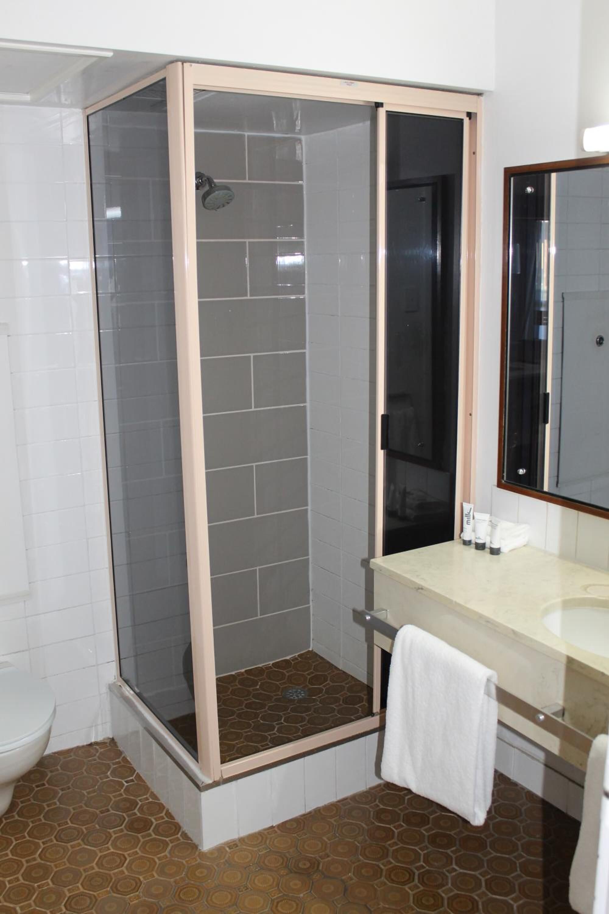 A bathroom with a glass-enclosed shower, a toilet, and a sink with a mirror.