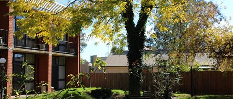 A residential area with a brick building, a wooden fence, a bench, and a tree with yellow leaves.
