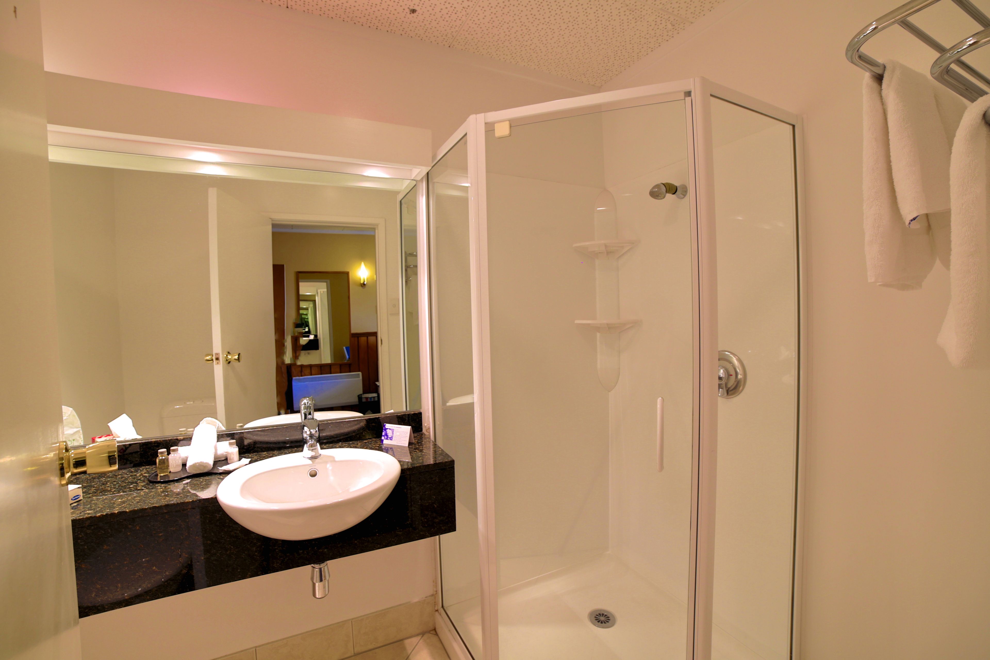 standard room | bathroom | shower, hair dryer, towels