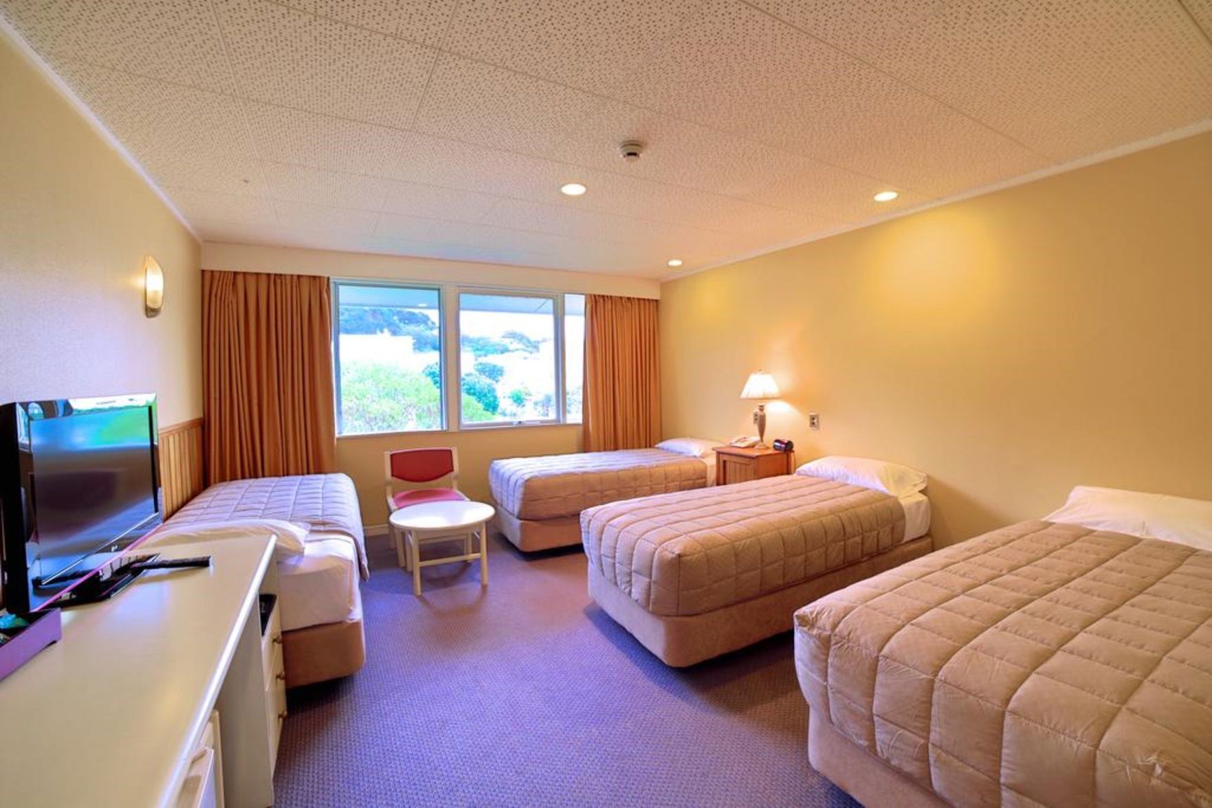 Desk, blackout curtains, iron/ironing board, WiFi