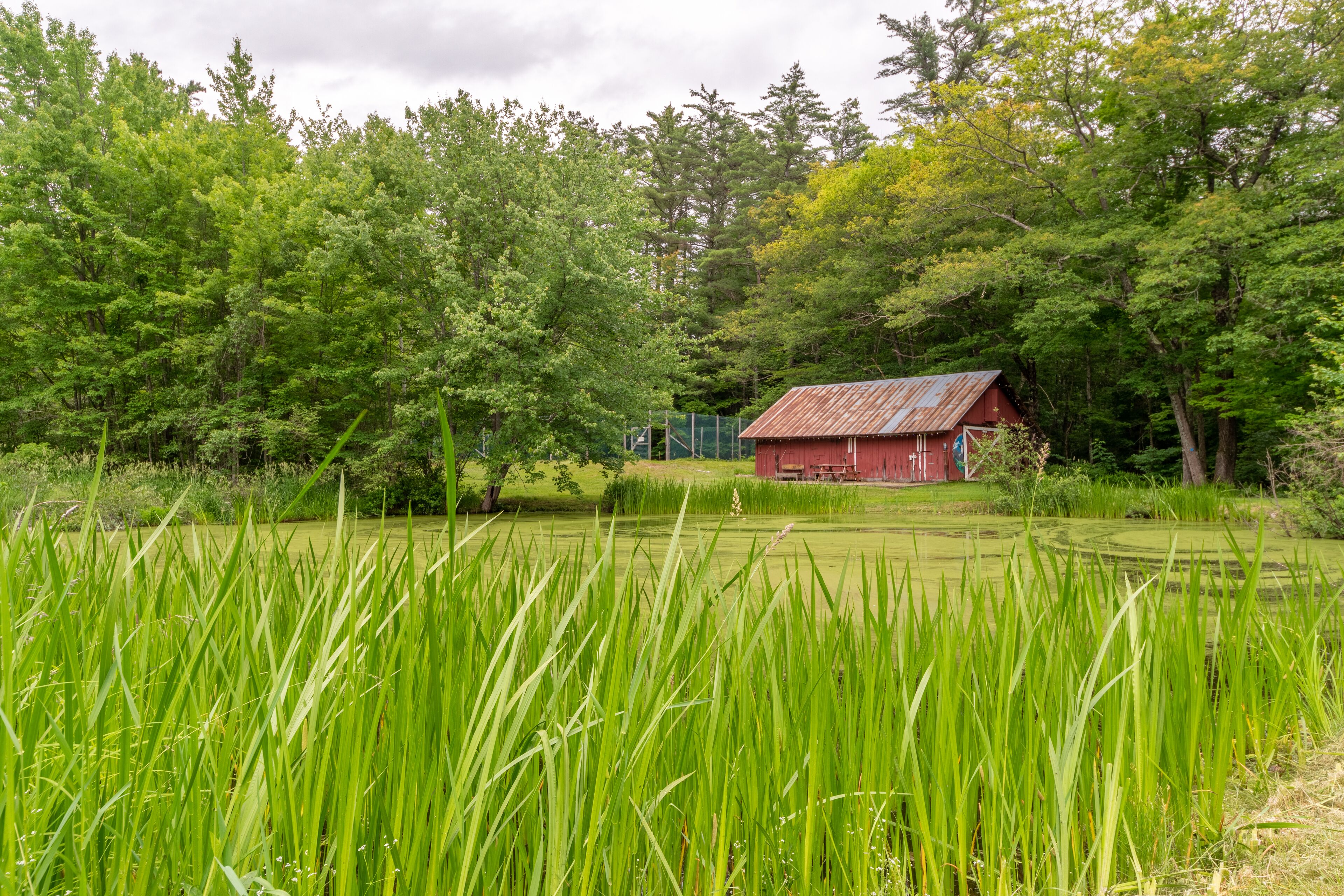 A rustic red barn surrounded by lush green trees and tall grass.