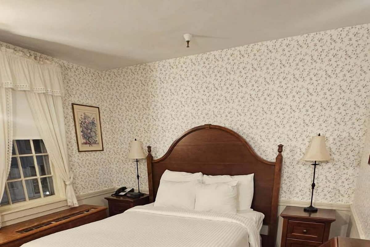 A neatly arranged bedroom with a large bed, a bedside table with a lamp, a nightstand, a wooden dresser, and a patterned rug.