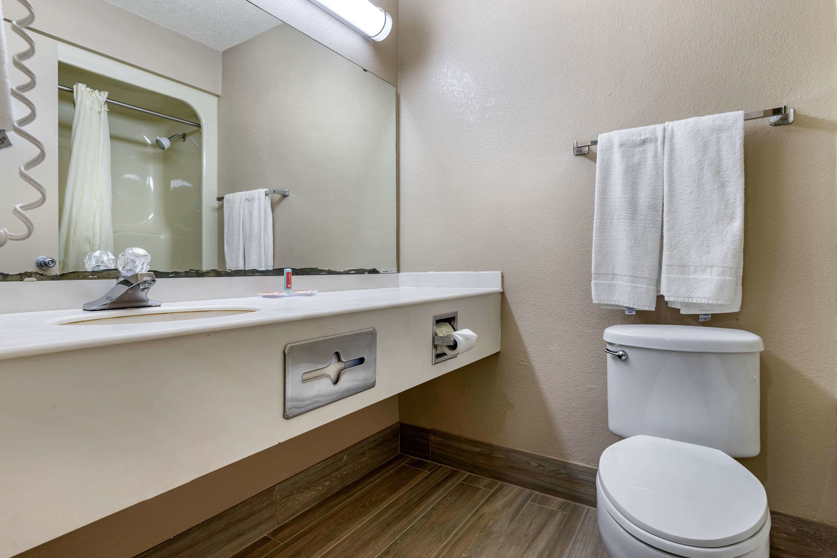 A bathroom with a white toilet, a sink with a mirror, and a shower area.
