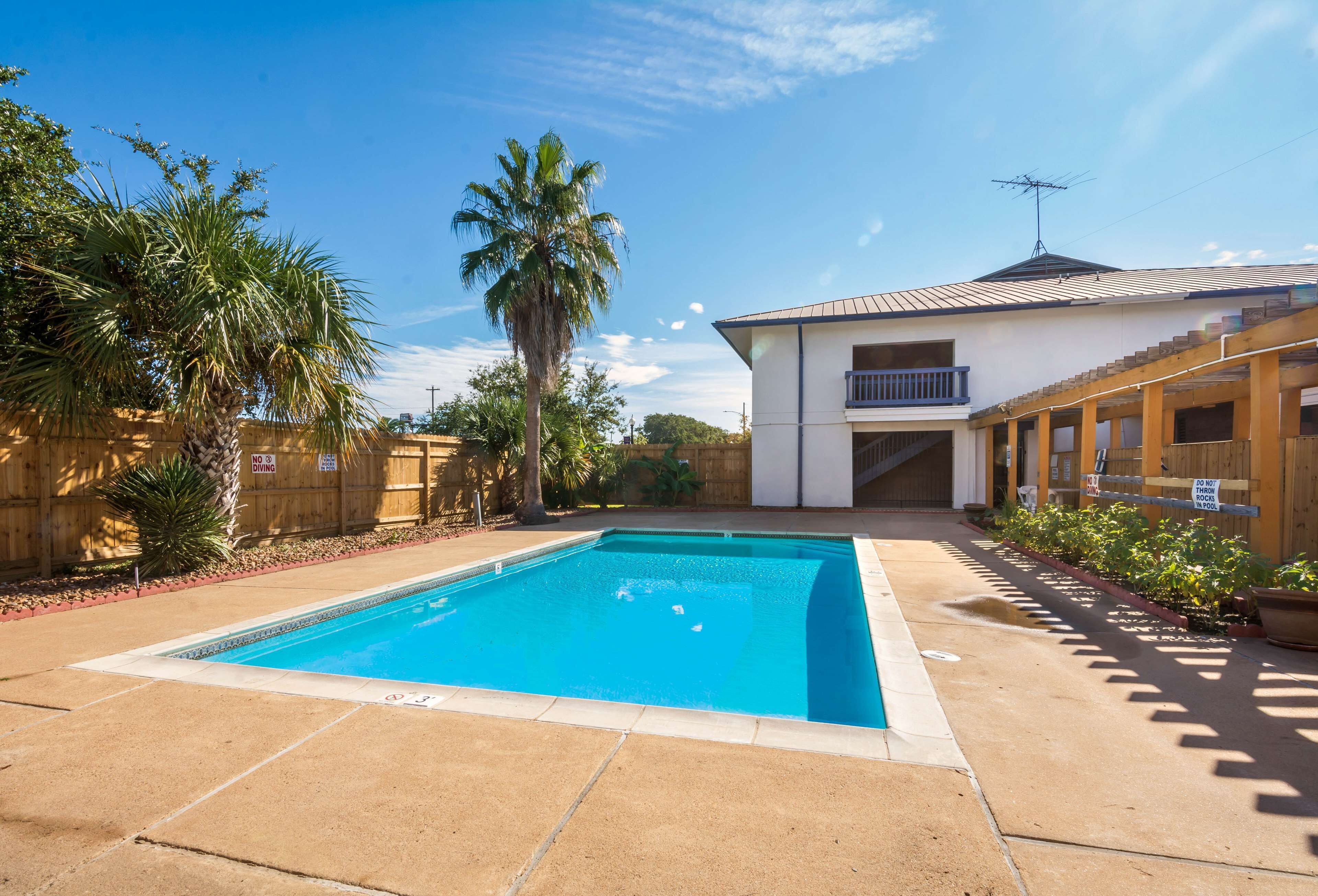 季節限定屋外プール