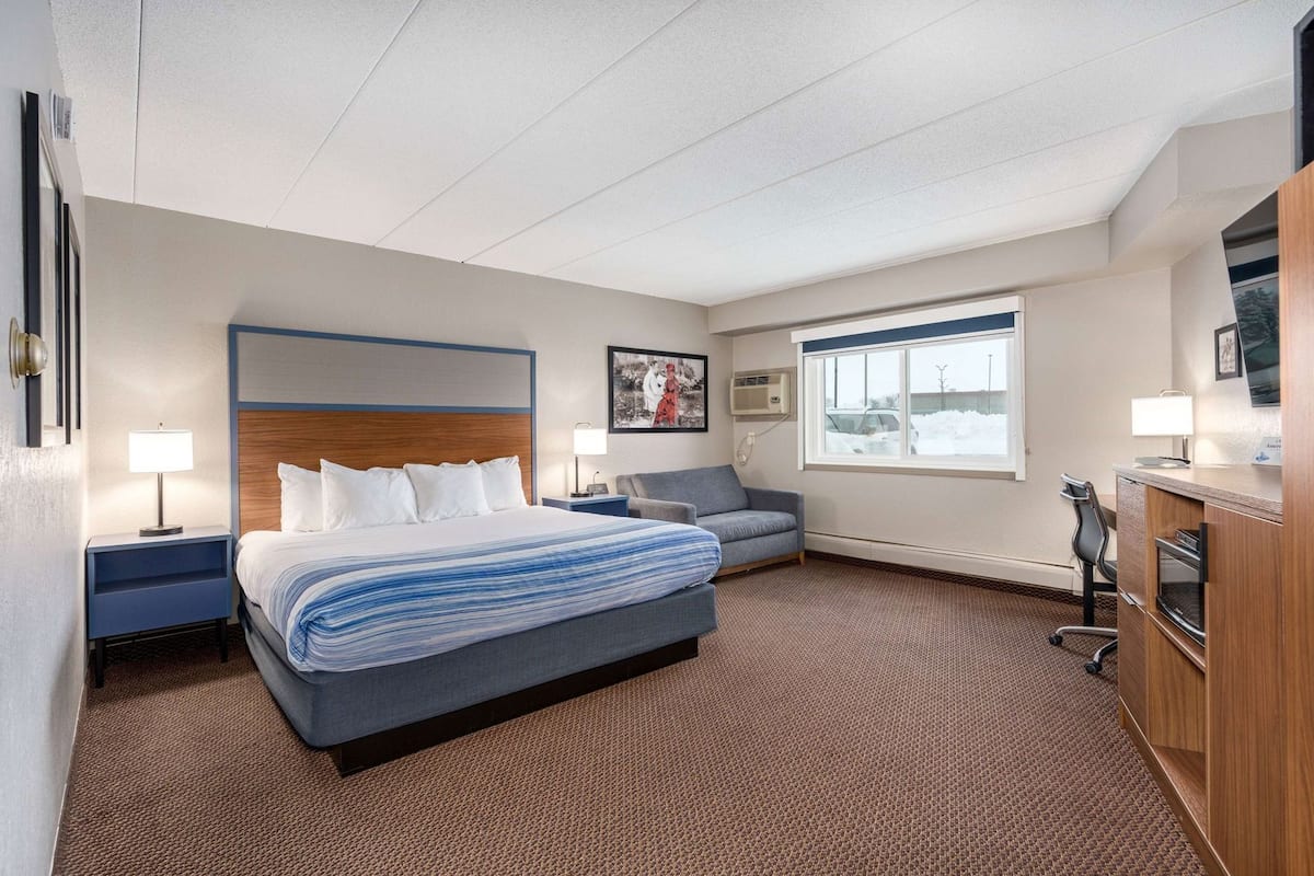 A hotel room with a large bed, a desk, a chair, a sofa, a window, and a television.