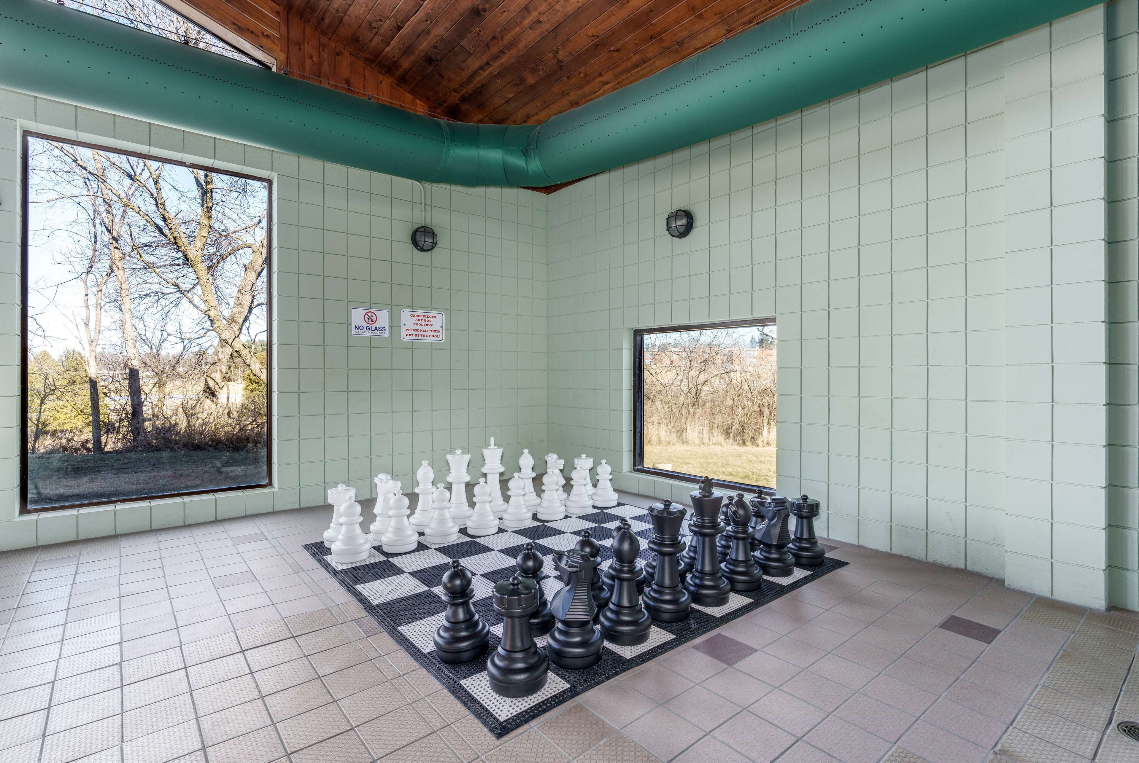 indoor pool, pool loungers
