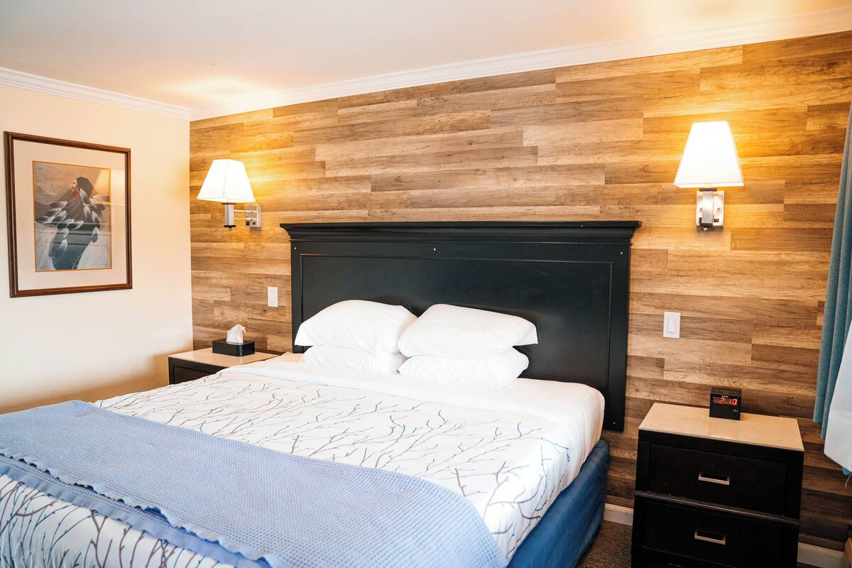 Standard Room, 1 King Bed, Mountain View