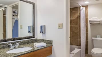 Een badkamer met een wastafel van graniet, een spiegel, een douchegordijn en een toilet.