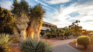 A pathway leading to a building with a modern architectural style, surrounded by various desert plants and a clear sky.