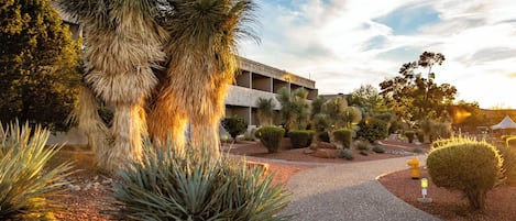 A pathway leading to a building with a modern architectural style, surrounded by various desert plants and a clear sky.