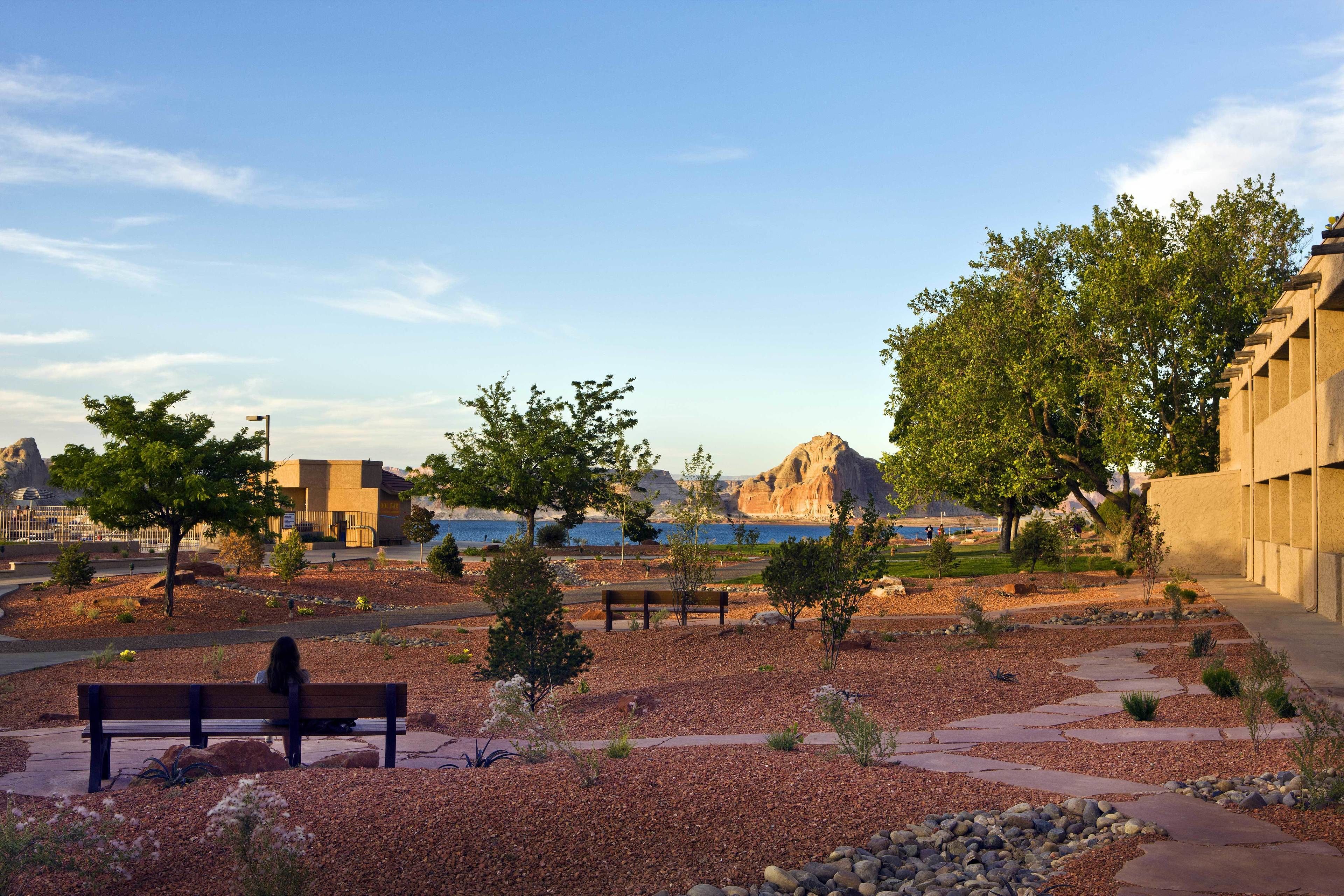 A park with benches, trees, and a rocky landscape.