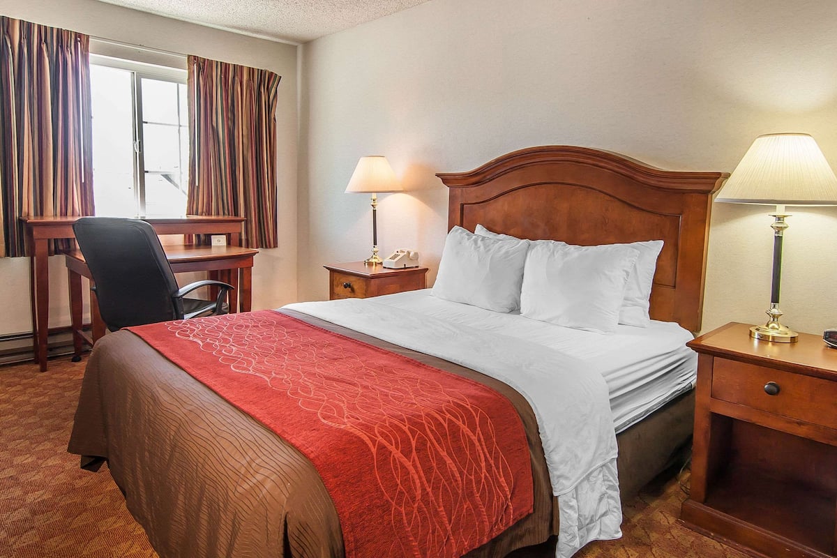 Standard Room, 1 Queen Bed, Non Smoking | Premium bedding, desk, blackout drapes, iron/ironing board