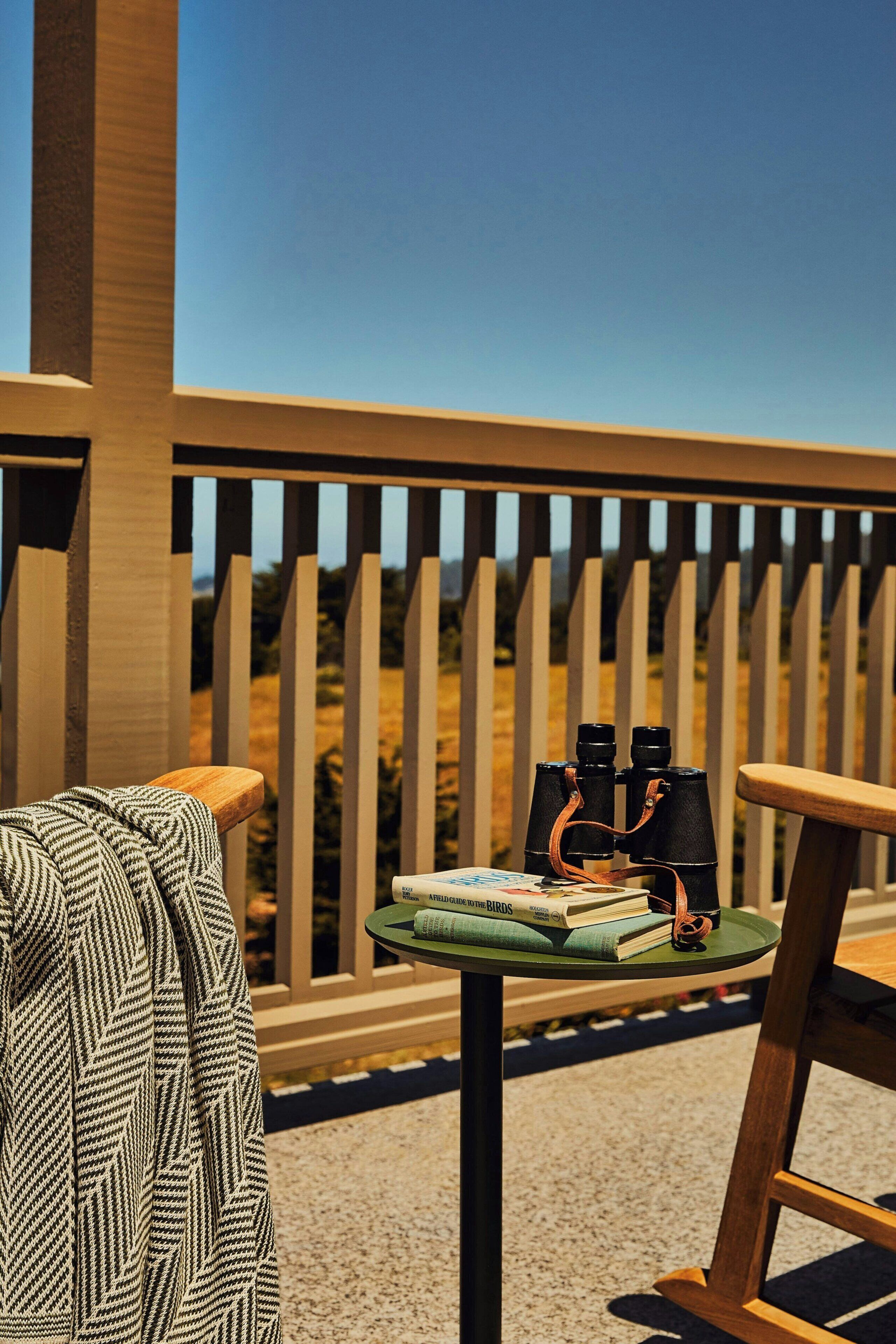 A balcony with a table, a pair of binoculars, and a book titled 'A Field Guide to the Birds'.