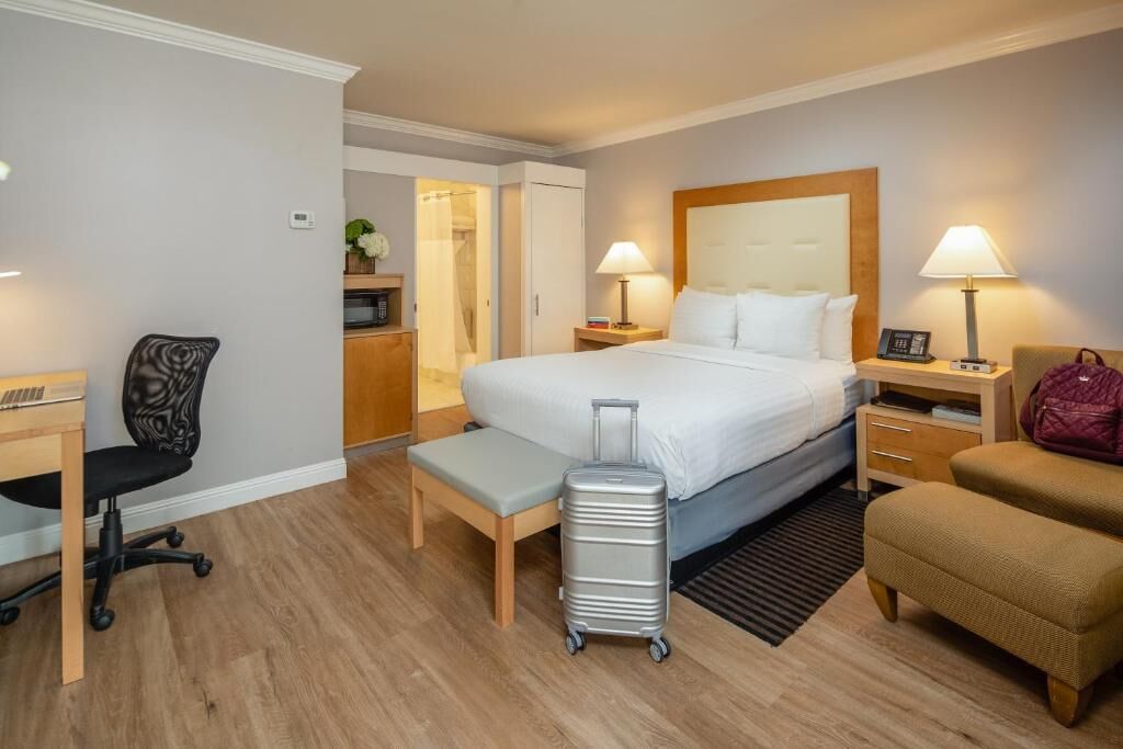 Habitación de hotel con cama, mesitas de noche, escritorio, silla, maleta y banco.