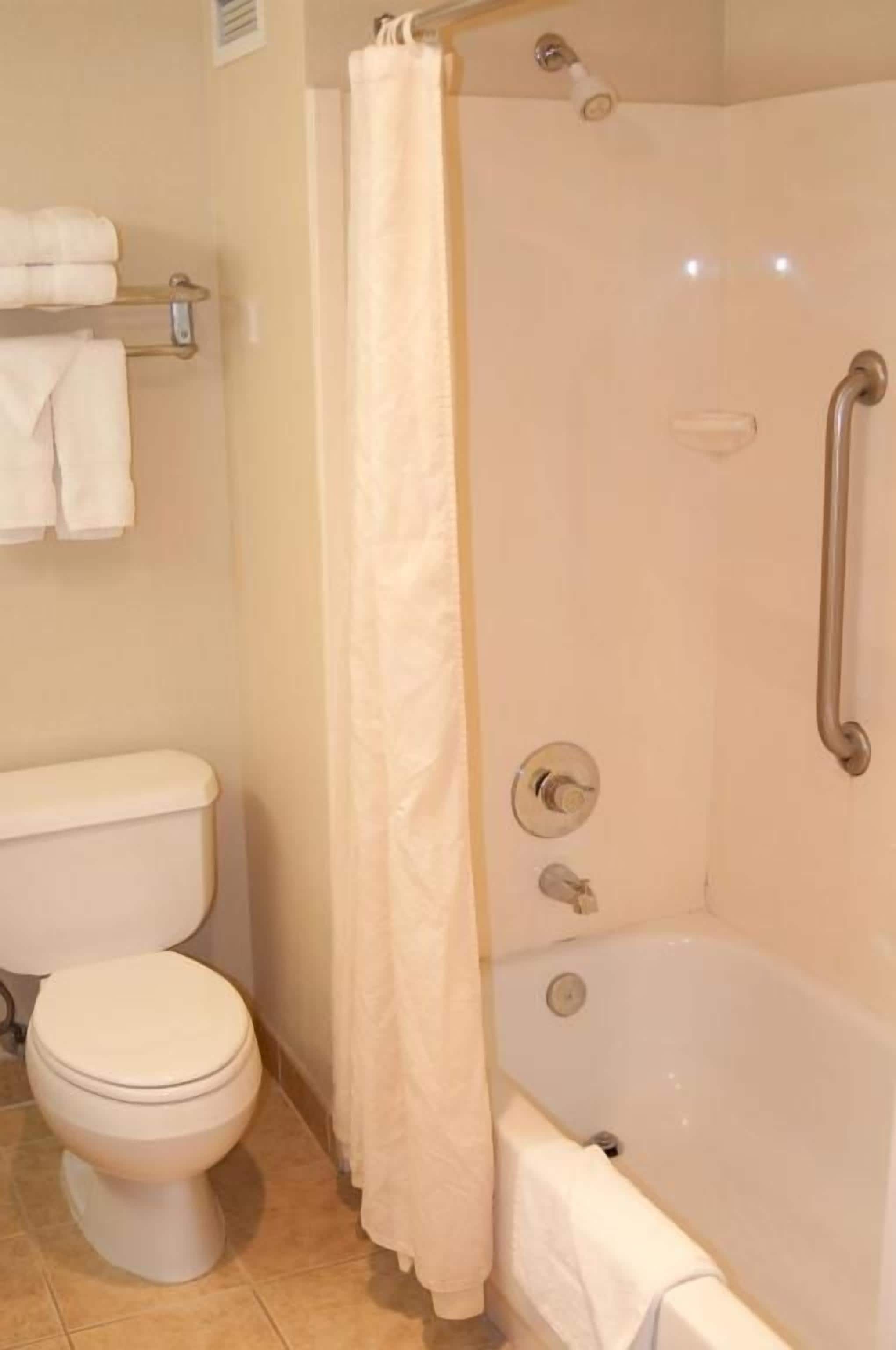 A bathroom with a toilet, a bathtub, and a shower curtain.