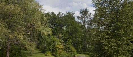 A serene outdoor setting with a pond, surrounded by lush greenery and trees. There are three Adirondack chairs arranged on the grass, facing the pond.