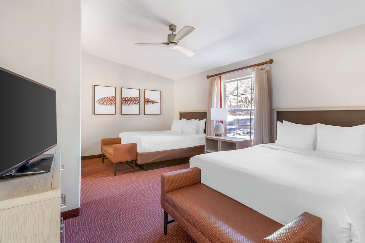 A hotel room with a bed, a sofa, a TV, and a ceiling fan.
