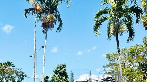 Two wine glasses on a table with a pool and palm trees in the background. - Mercure Cairns (Cairns)
