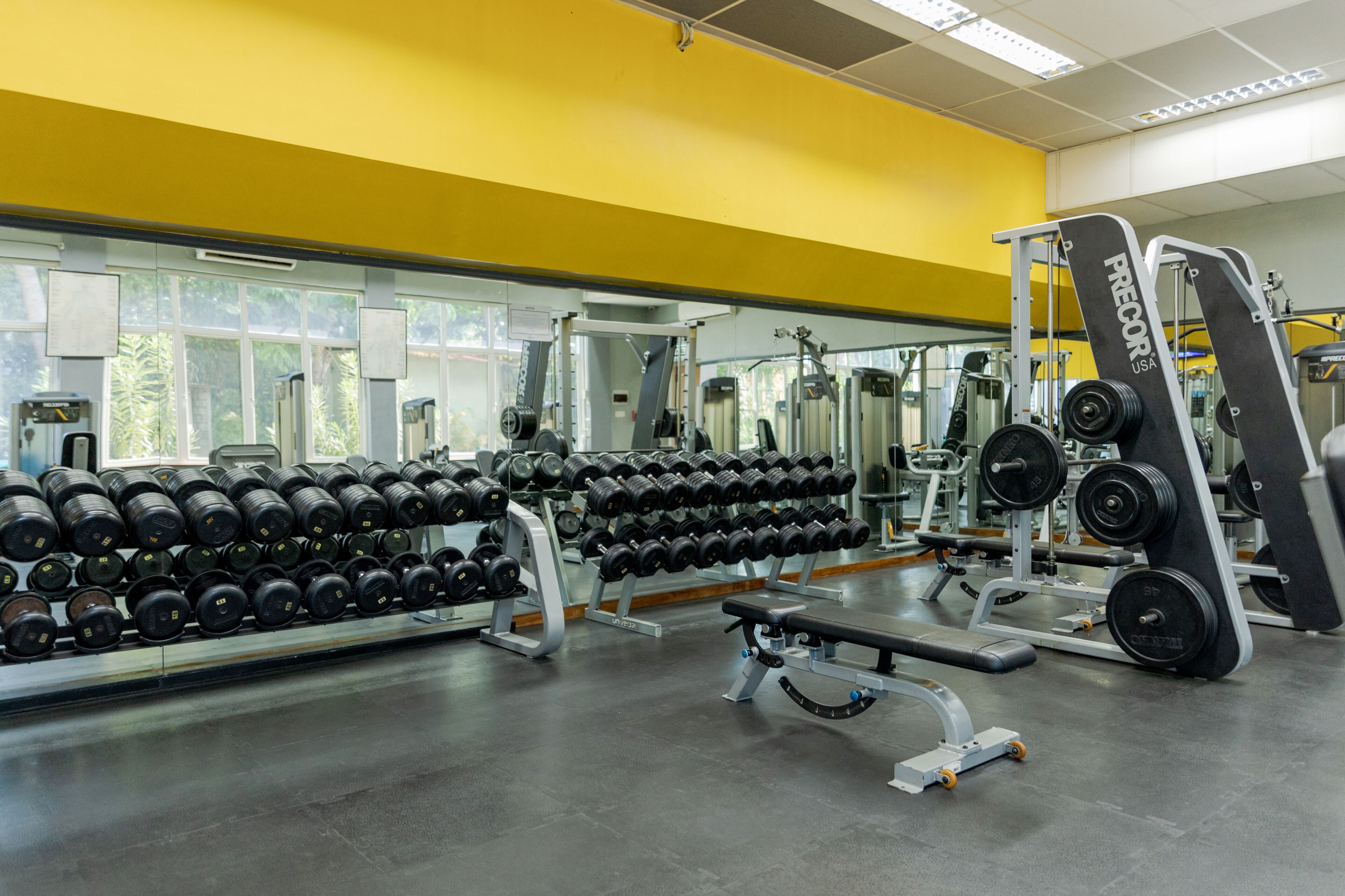 A gym with weightlifting equipment, dumbbells, and benches.