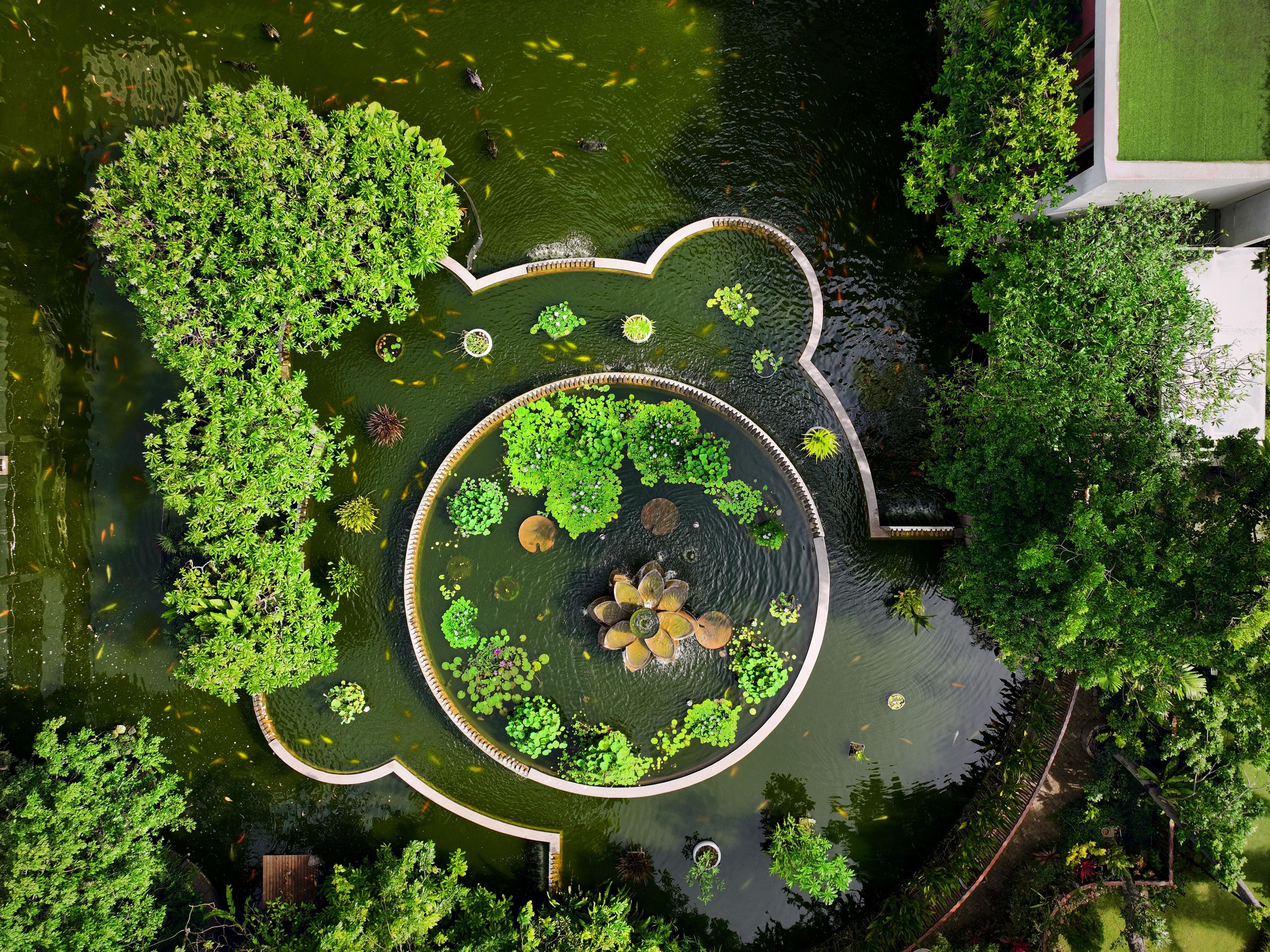 An aerial view of a pond with a bear-shaped island, surrounded by dense greenery and a clear water surface.