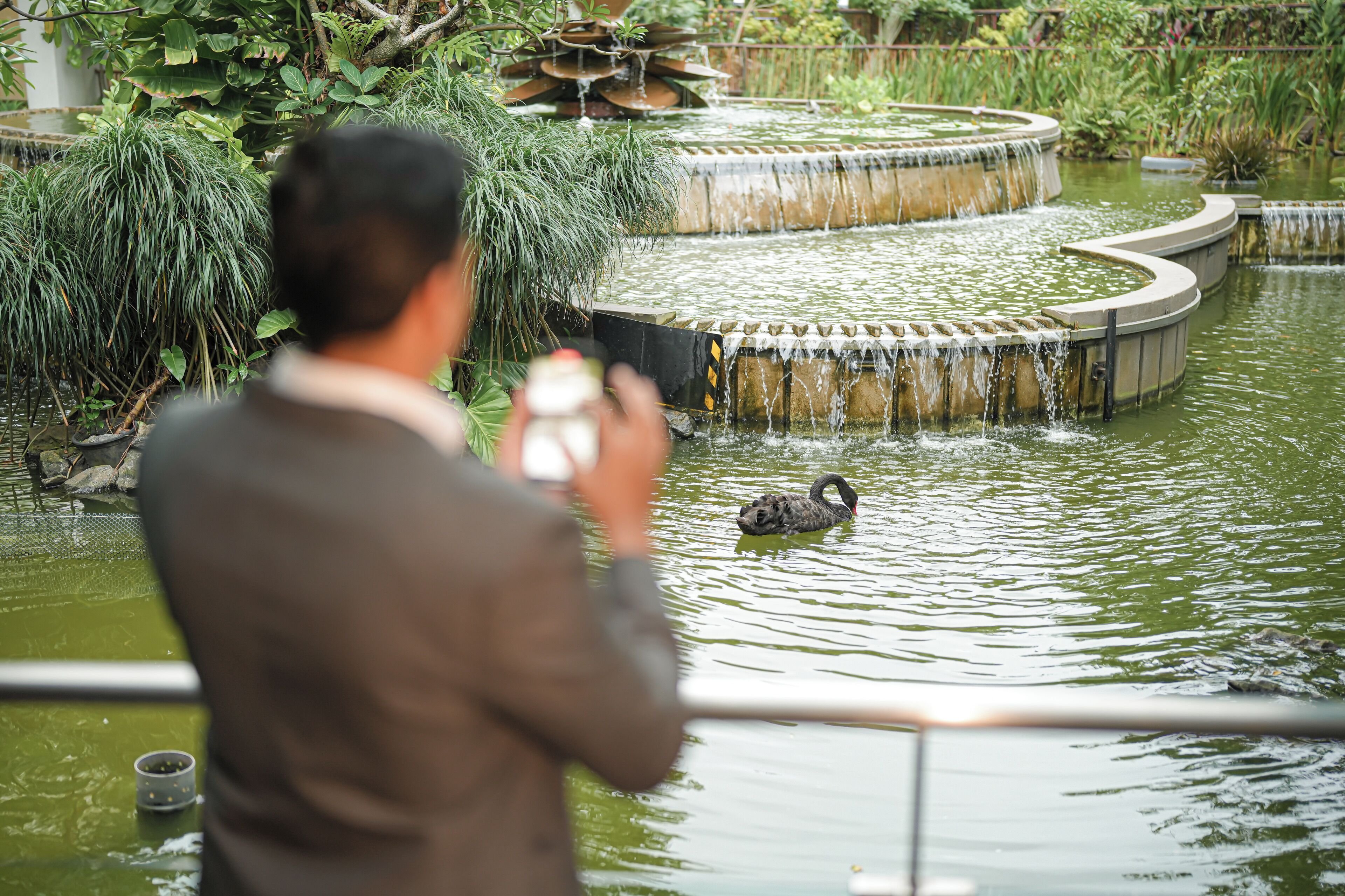 Photo - Hilton Colombo Hotel