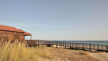 En la playa, ski acuático, bar en la playa