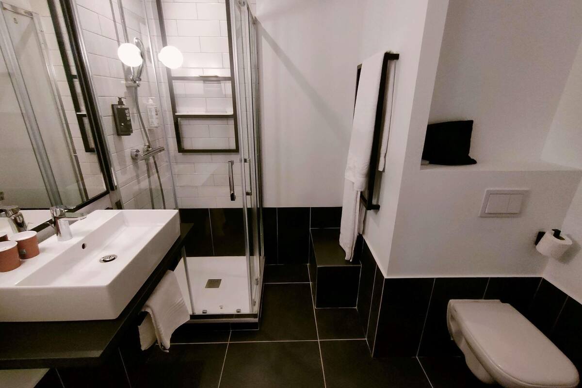 A modern bathroom with a glass shower enclosure, a white sink, and a toilet.