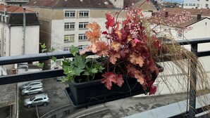 A balcony with a potted plant and a view of a church tower. - Best Western Mulhouse Salvator Centre (Mulhouse)