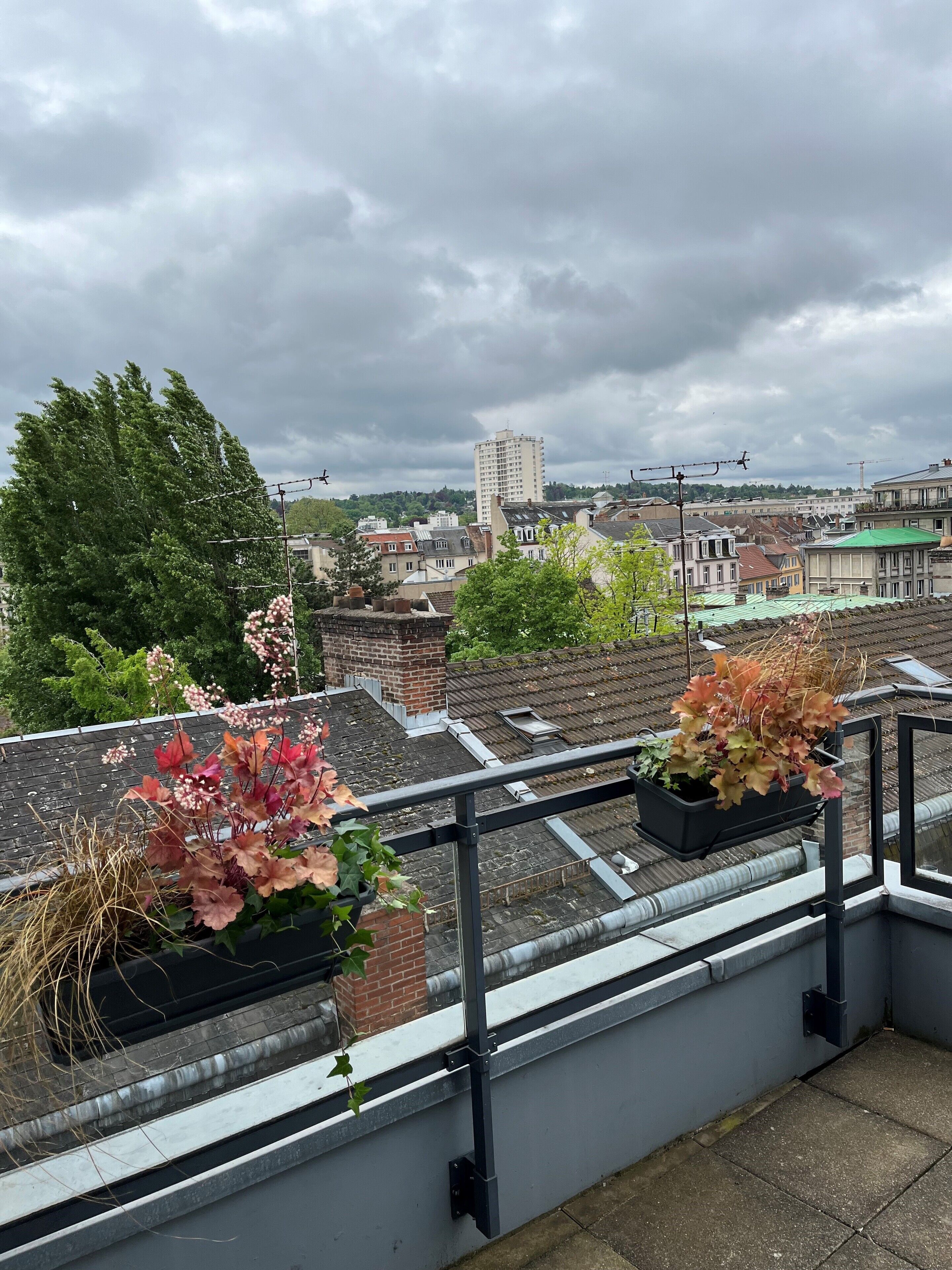 Photo - Best Western Mulhouse Salvator Centre